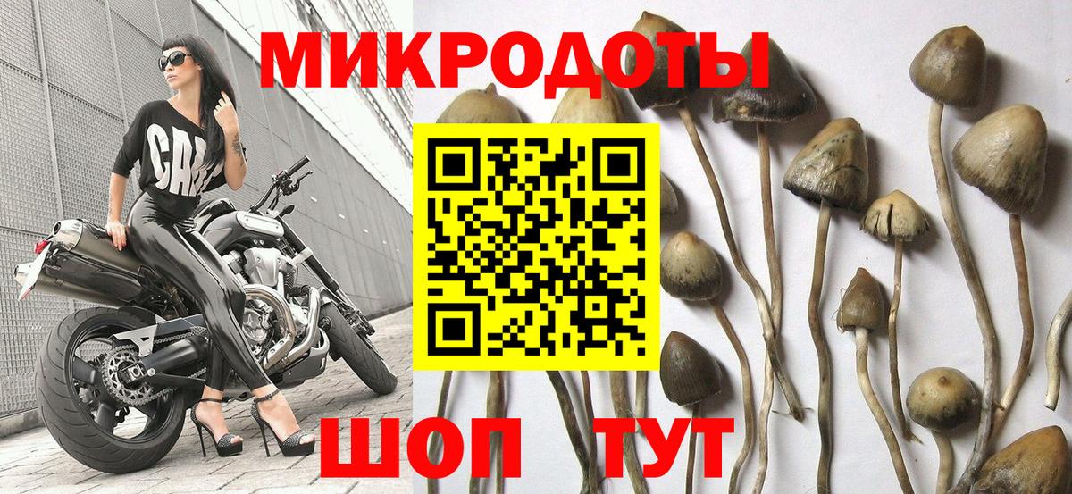 Галлюциногенные грибы GOLDEN TEACHER  Псилоцибиновые грибы прущие грибы  Углич  Вход с VPN 